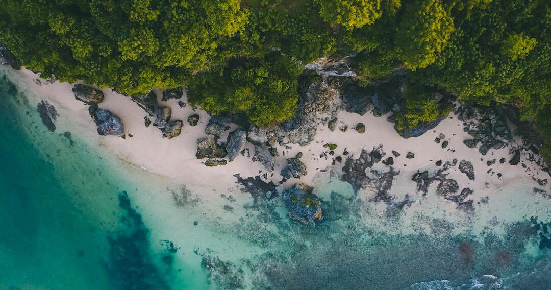 Préserver la biodiversité, un Impératif pour l’avenir de notre planète