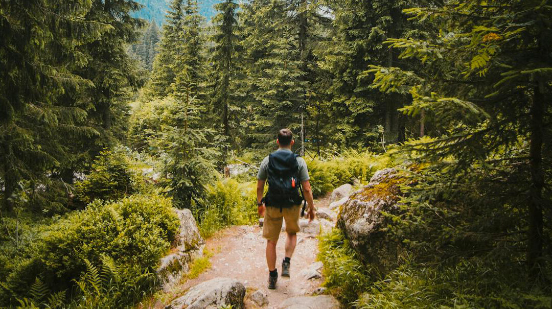 La Randonnée, une aventure au cœur de la nature