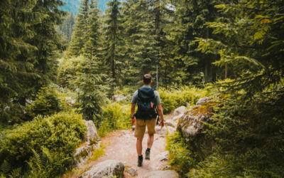 La Randonnée, une aventure au cœur de la nature