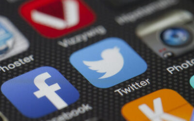 Les défis de l’intelligence artificielle dans l’application Seelo