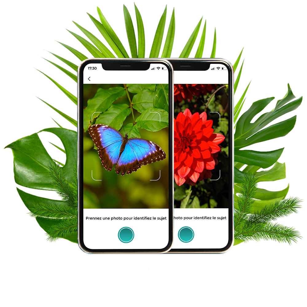 iphone-photo-feuilles-intelligence-artificiel