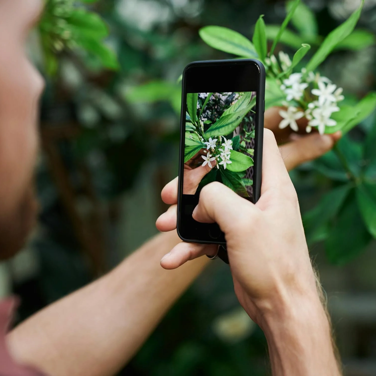 photo-ia-application